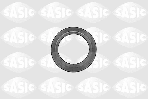 1213093 SASIC Уплотняющее кольцо, дифференциал (фото 1)