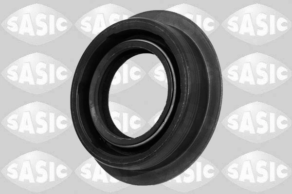 1950013 SASIC Уплотняющее кольцо, дифференциал (фото 1)
