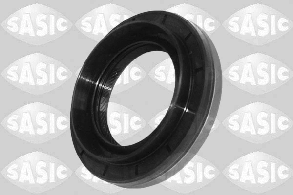 1954012 SASIC Уплотняющее кольцо, дифференциал (фото 1)