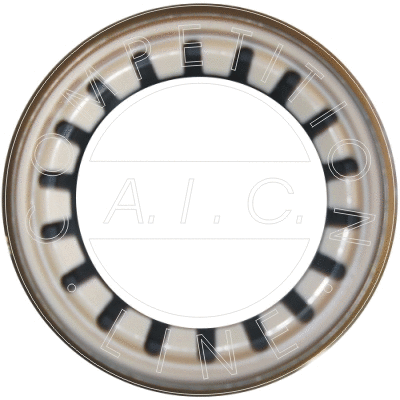 51232 AIC Уплотняющее кольцо, дифференциал (фото 1)