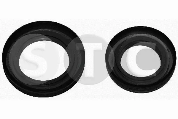 T404620 STC Уплотняющее кольцо, дифференциал (фото 1)