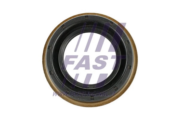 FT49717 FAST Уплотняющее кольцо, дифференциал (фото 1)