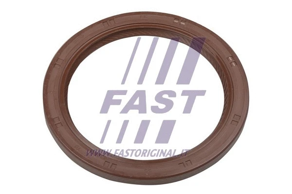 FT49794 FAST Уплотняющее кольцо, дифференциал (фото 1)
