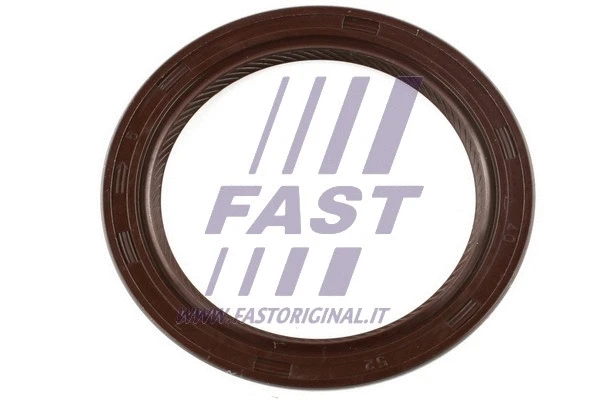 FT49813 FAST Уплотняющее кольцо, дифференциал (фото 1)