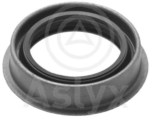 AS-506217 Aslyx Уплотняющее кольцо, дифференциал (фото 1)