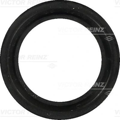 81-35304-00 VICTOR REINZ Уплотняющее кольцо, распределительный вал (фото 1)