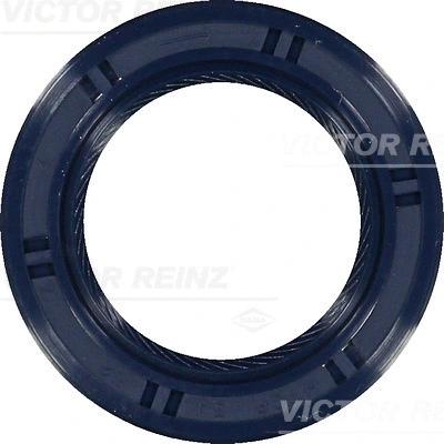 81-53491-00 VICTOR REINZ Уплотняющее кольцо, распределительный вал (фото 1)