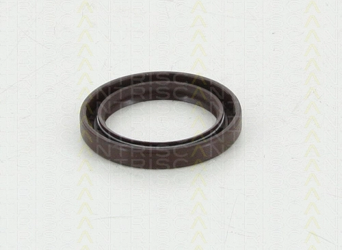 8550 10062 TRISCAN Уплотняющее кольцо, распределительный вал (фото 1)