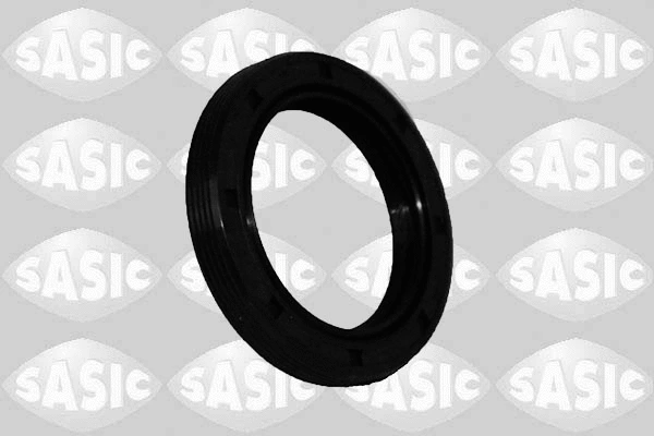 1954008 SASIC Уплотняющее кольцо, распределительный вал (фото 1)