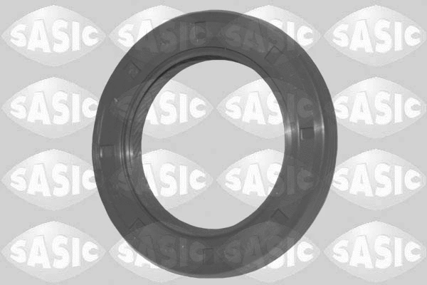 1954019 SASIC Уплотняющее кольцо, распределительный вал (фото 1)