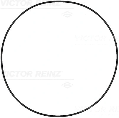 40-73555-00 VICTOR REINZ Уплотнительное кольцо (фото 1)
