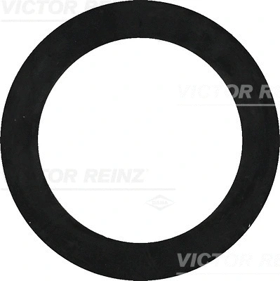 40-77322-00 VICTOR REINZ Уплотнительное кольцо (фото 1)
