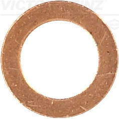 41-70042-00 VICTOR REINZ Уплотнительное кольцо (фото 1)