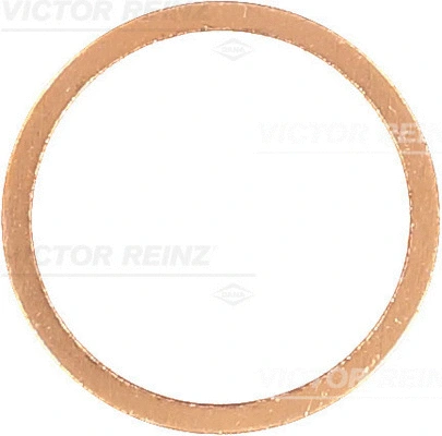 41-70220-00 VICTOR REINZ Уплотнительное кольцо (фото 1)