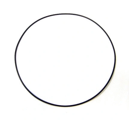 538.120 ELRING Уплотнительное кольцо (фото 1)