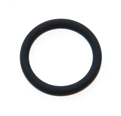 635.580 ELRING Уплотнительное кольцо (фото 1)