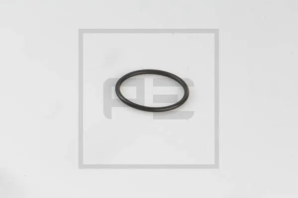 011.417-00A PE AUTOMOTIVE Уплотнительное кольцо (фото 1)