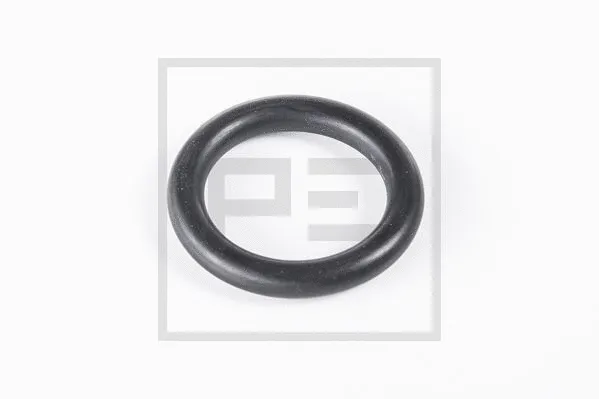 124.012-00A PE AUTOMOTIVE Уплотнительное кольцо (фото 1)