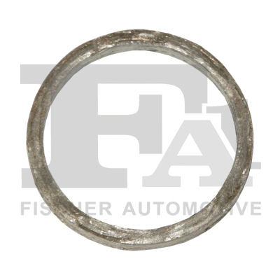 410-507 FA1/FISCHER Уплотнительное кольцо, компрессор (фото 1)