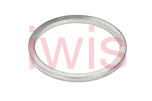 59302 Iwis Motorsysteme Уплотнительное кольцо, натяжное приспособление цепи привода (фото 1)