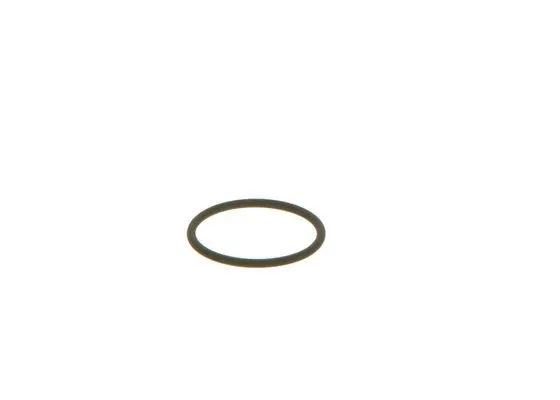 F 00V C38 002 BOSCH Уплотнительное кольцо (фото 1)