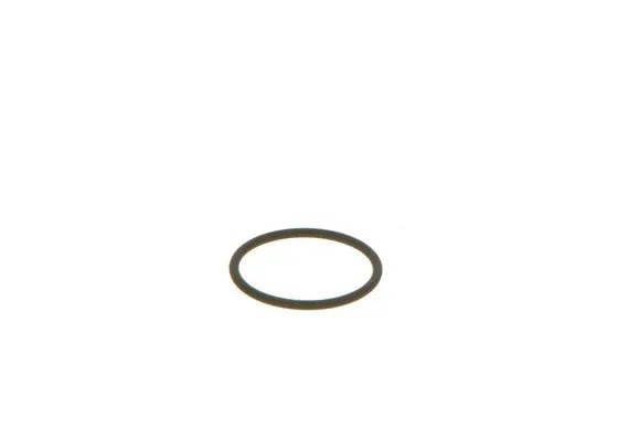 F 00V C38 002 BOSCH Уплотнительное кольцо (фото 2)