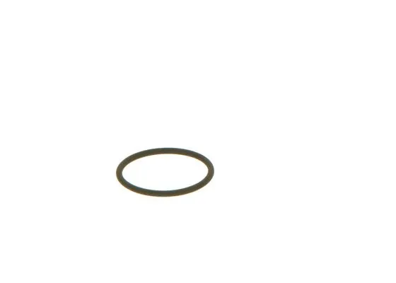 F 00V C38 002 BOSCH Уплотнительное кольцо (фото 3)