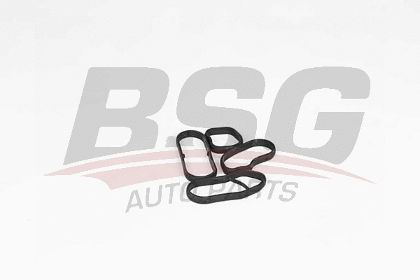 BSG 15-116-020 BSG Комплект прокладок, маслянный радиатор (фото 1)