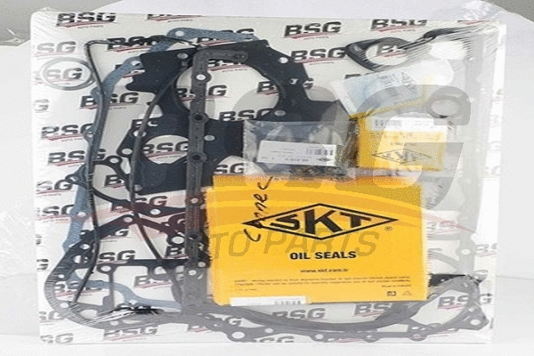 BSG 30-115-002 BSG Комплект прокладок, двигатель (фото 1)