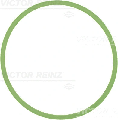71-40513-00 VICTOR REINZ Прокладка, впускной коллектор (фото 1)