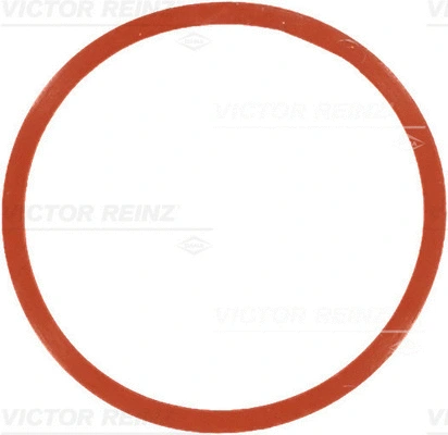 71-77546-00 VICTOR REINZ Прокладка, впускной коллектор (фото 1)