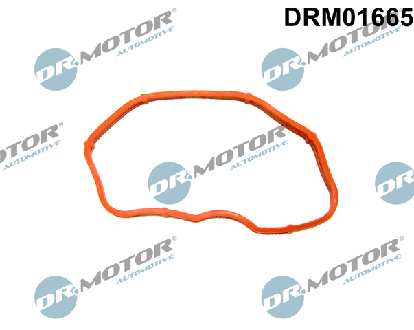 DRM01665 Dr.Motor Automotive Прокладка, впускной коллектор (фото 1)
