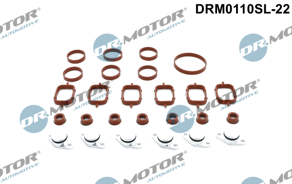 DRM0110SL-22 Dr.Motor Automotive Комплект прокладок, впускной коллектор (фото 1)