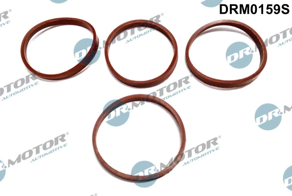 DRM0159S Dr.Motor Automotive Комплект прокладок, впускной коллектор (фото 1)