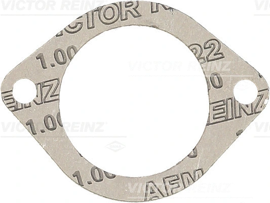 71-38304-00 VICTOR REINZ Прокладка, корпус впускного коллектора (фото 1)