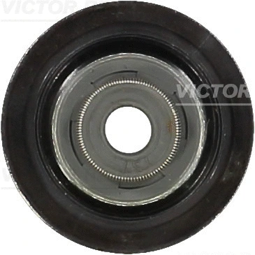 70-10122-00 VICTOR REINZ Уплотнительное кольцо, стержень клапана (фото 1)