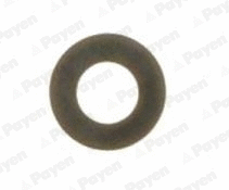 PA229 PAYEN Уплотнительное кольцо, стержень клапана (фото 1)