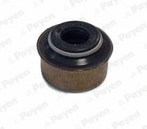 PA565 PAYEN Уплотнительное кольцо, стержень клапана (фото 1)