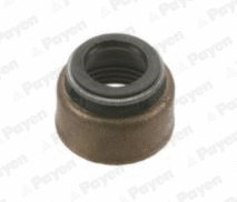 PA6054 PAYEN Уплотнительное кольцо, стержень клапана (фото 1)