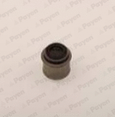 PA883 PAYEN Уплотнительное кольцо, стержень клапана (фото 1)