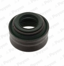 PB180 PAYEN Уплотнительное кольцо, стержень клапана (фото 1)