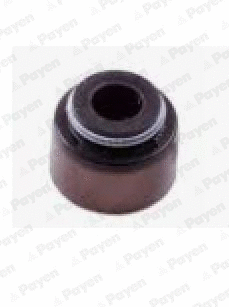 PB313 PAYEN Уплотнительное кольцо, стержень клапана (фото 1)