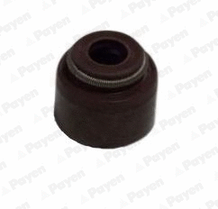 PB355 PAYEN Уплотнительное кольцо, стержень клапана (фото 1)