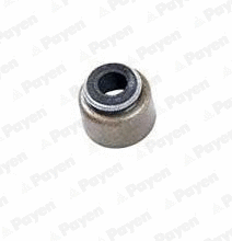 PB356 PAYEN Уплотнительное кольцо, стержень клапана (фото 1)