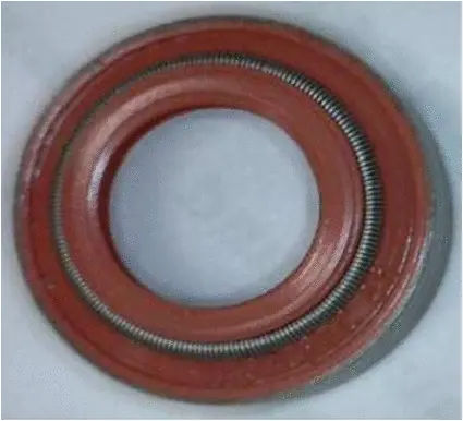 19036763 CORTECO Уплотнительное кольцо, стержень клапана (фото 1)