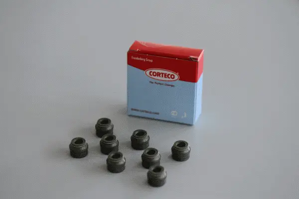 19018251 CORTECO Комплект прокладок, стержень клапана (фото 1)
