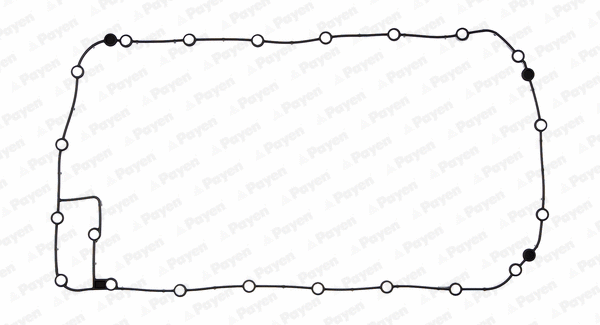 JH5050 PAYEN Прокладка, масляный поддон (фото 1)