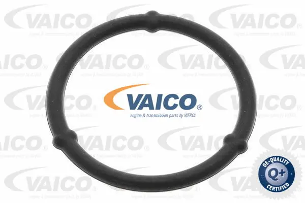 V30-3183 VAICO Прокладка, масляный поддон (фото 1)