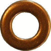 8029167 HOFFER Уплотнительное кольцо, шахта форсунки (фото 1)
