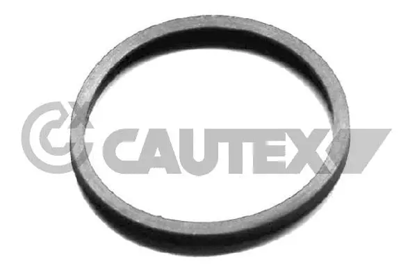 954208 CAUTEX Прокладка, термостат (фото 1)